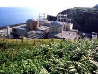 LEMONIZ 01  ECOLOGIA
